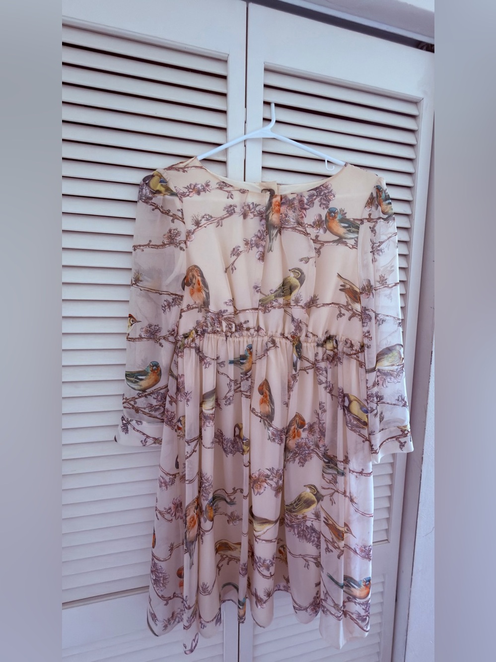 Ted Baker Cream Chiffon Dress with Multicolored Bird Print